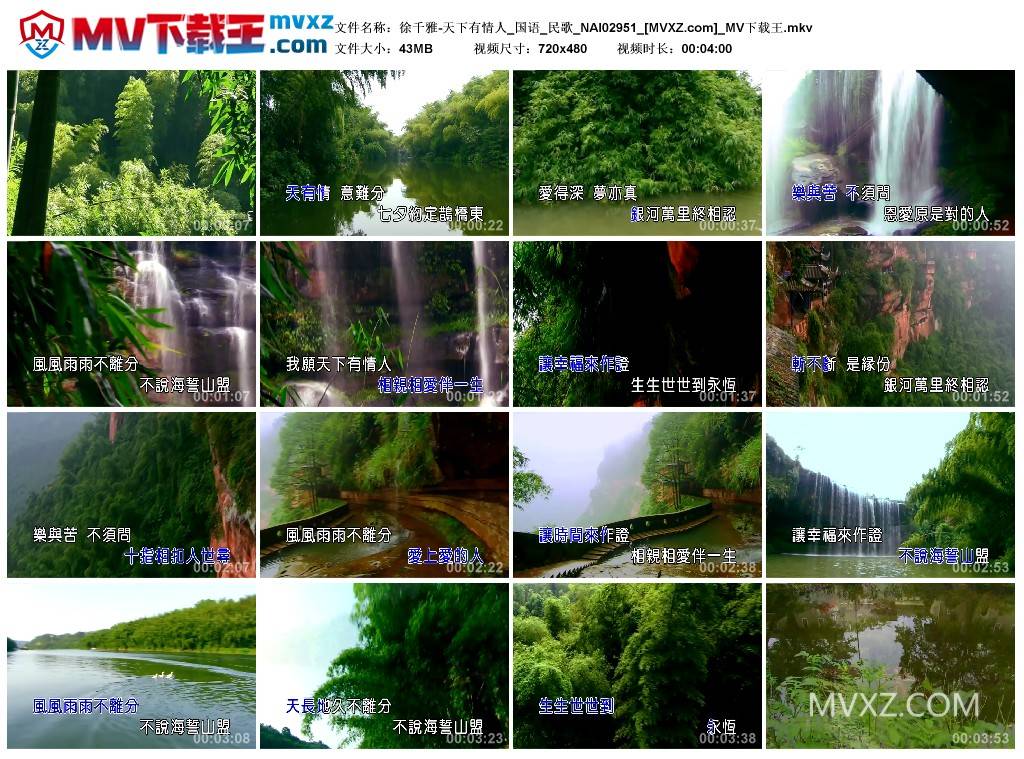 徐千雅-天下有情人_国语_民歌_NAI02951